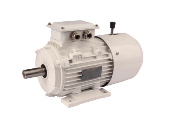 FLAJ/FLFJ/FLGJ系列电磁制动三相异步交流电动机