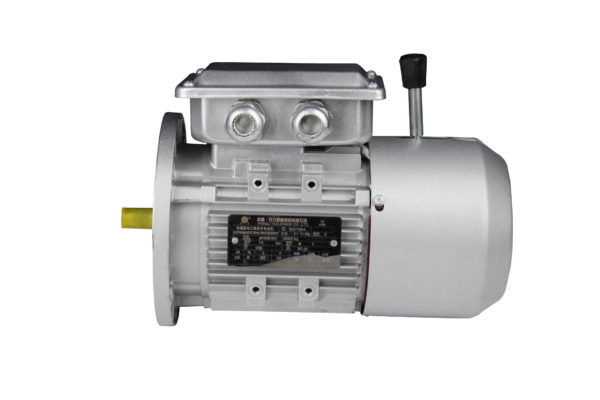FLAJ/FLFJ/FLGJ系列电磁制动三相异步交流电动机