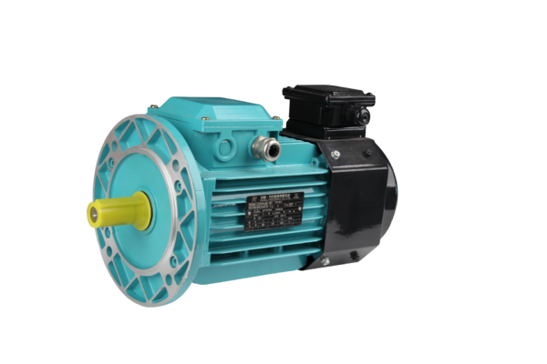 FLAV/FLFV/FLGV系列变频三相异步交流电动机