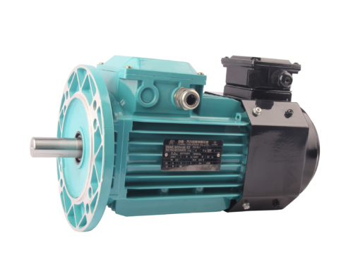 FLAV/FLFV/FLGV系列变频三相异步交流电动机