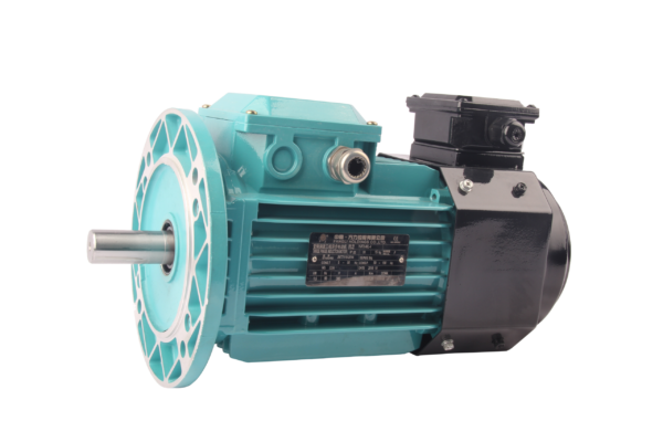FLAV/FLFV/FLGV系列变频三相异步交流电动机