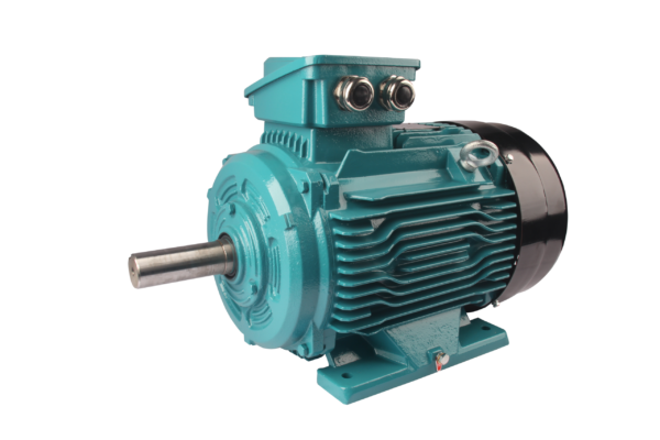 FL(IE1)系列高效率三相异步电动机