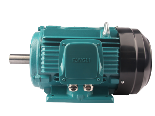 FL2(IE2)系列高效率三相异步电动机