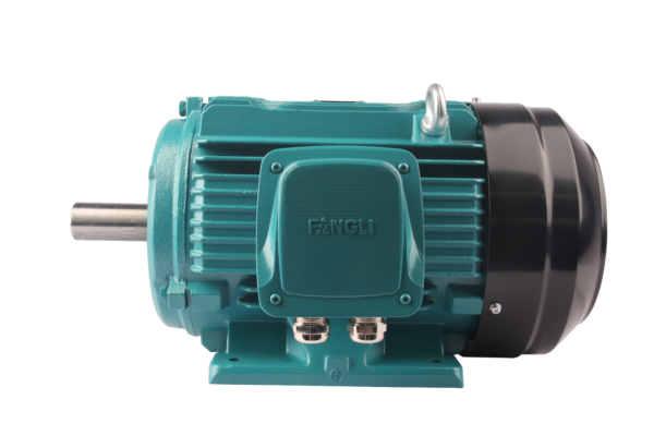 FL2(IE2)系列高效率三相异步电动机