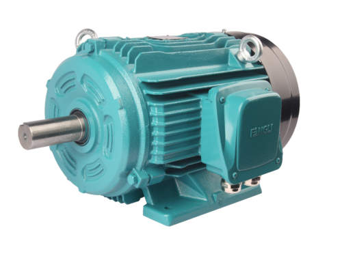 FLDT系列变极多速三相异步交流电动机