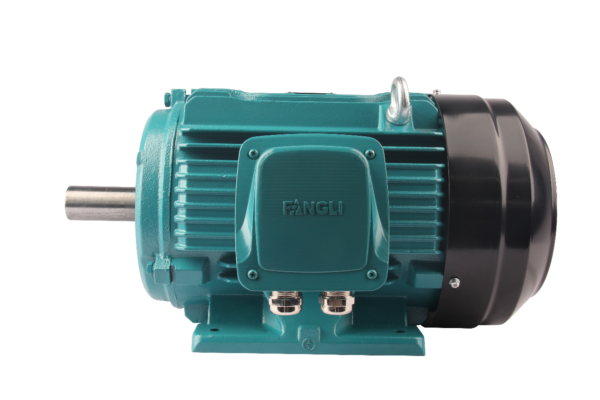 FLDT系列变极多速三相异步交流电动机
