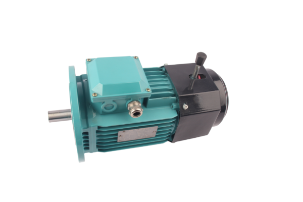 FLAJ/FLFJ/FLGJ系列电磁制动三相异步交流电动机