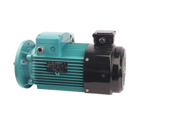 FLAV/FLFV/FLGV系列变频三相异步交流电动机