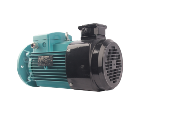 FLAV/FLFV/FLGV系列变频三相异步交流电动机