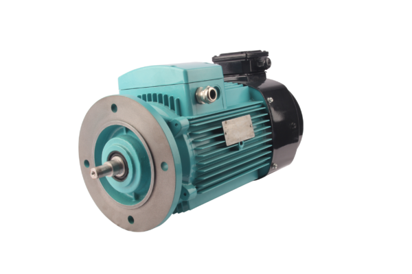 FLAV/FLFV/FLGV系列变频三相异步交流电动机