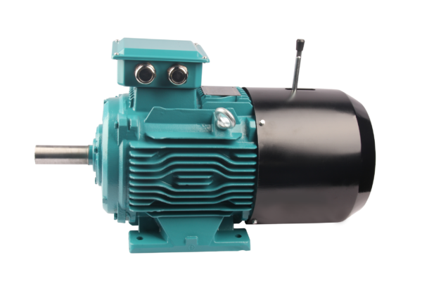 FLJ系列电磁制动三相异步交流电动机