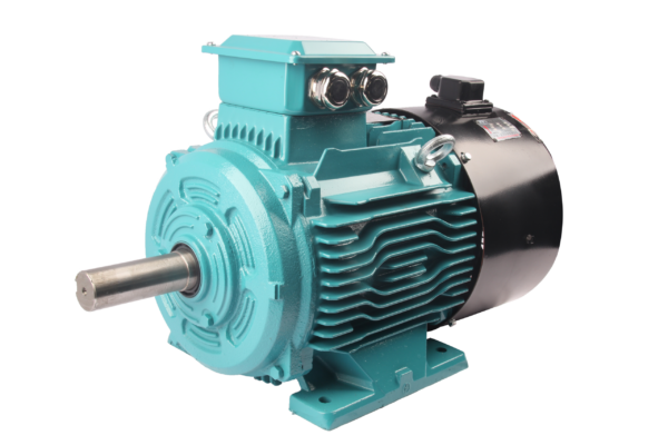 FLV系列变频三相异步交流电动机