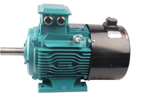 FLV系列变频三相异步交流电动机