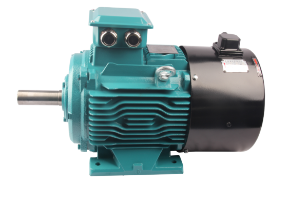 FLV系列变频三相异步交流电动机