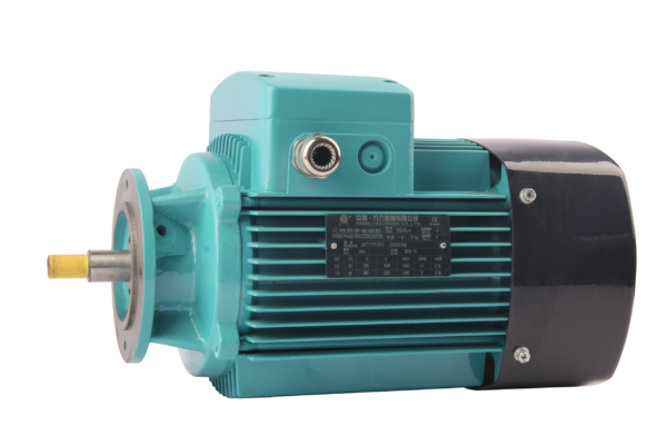 FLZ系列用于齿轮箱的三相异步交流电动机