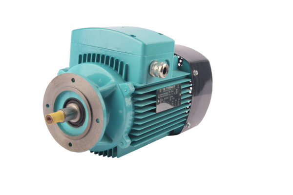 FLZ系列用于齿轮箱的三相异步交流电动机