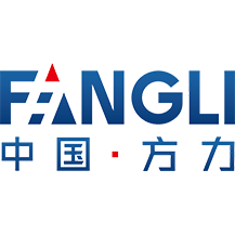 中国方力 | 引领电机世界